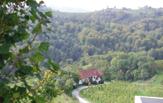 Bauernhof im Weinberg